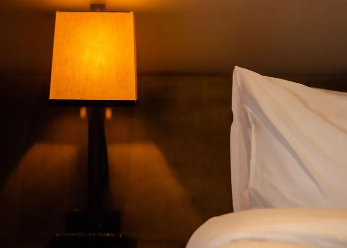 De Duinen - Adults Only نوردفيك