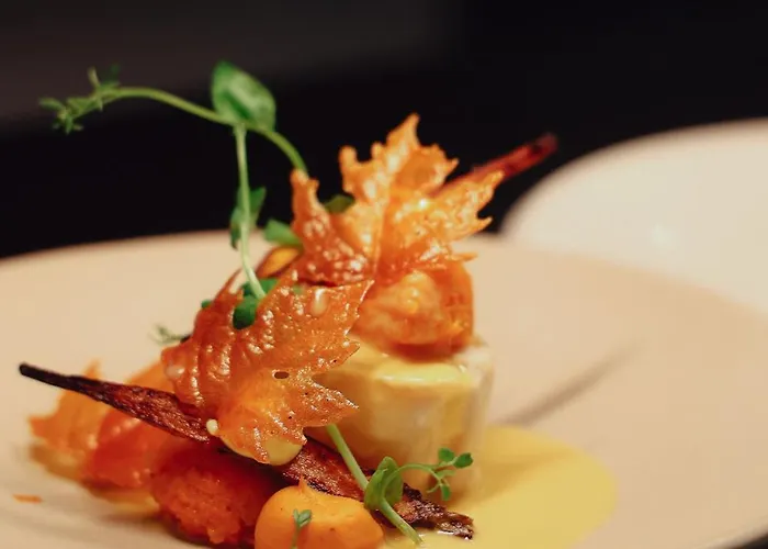 De Duinen - Adults Only 4* نوردفيك