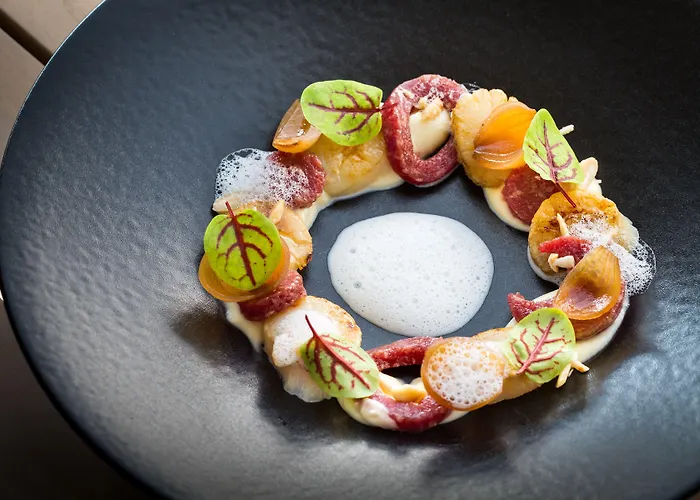 De Duinen - Adults Only نوردفيك