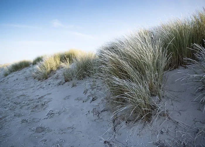 De Duinen - Adults Only فندق نوردفيك