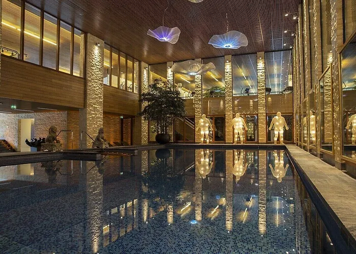 De Duinen - Adults Only نوردفيك