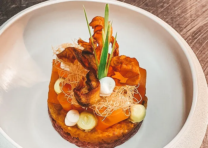 De Duinen - Adults Only 4* نوردفيك