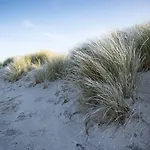 De Duinen - Adults Only 호텔 노르트베이크